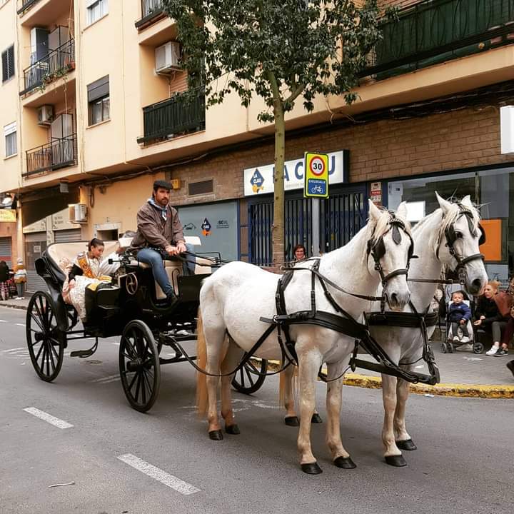 WhatsApp Image 2024-08-07 at 19.26.27 (4)